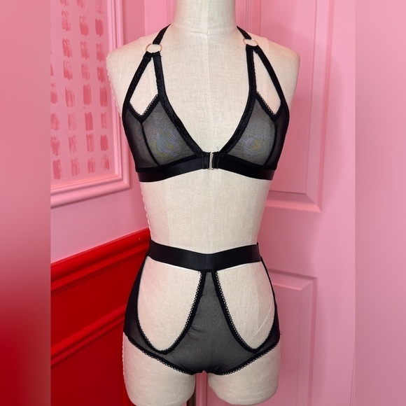 Elizabeth Tailor Other - Sheer Backless Lingerie Set
